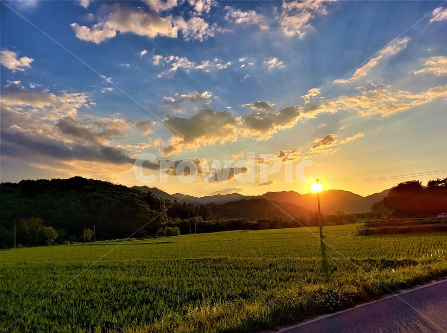 논,시골,해질녘,노을,자연,자연,풍경,nature,landscape