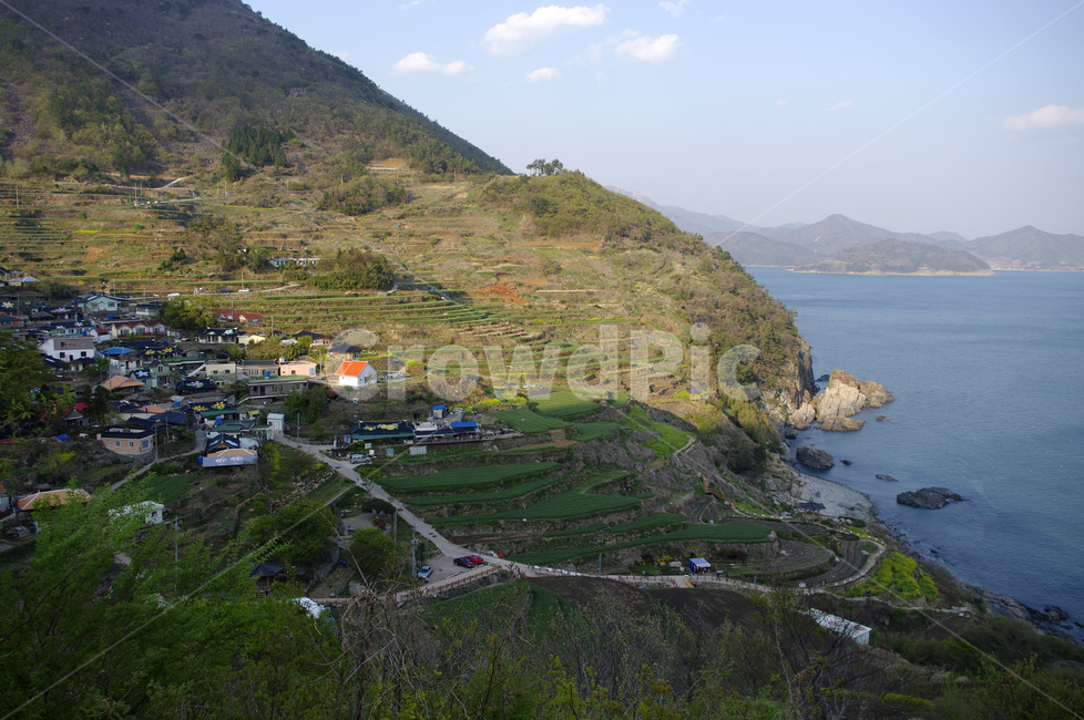 남해,가천마을,다랑이논,다랑이,풍경,나무,바다,논,마을,시골,마을,풍경,landscape,country,rural,town