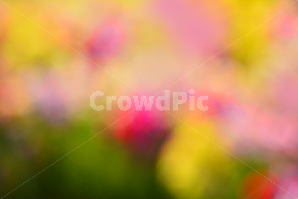 봄,색감,감성,분위기,느낌,벡그라운드,emotion,feeling,sensible,칼라풀,색상,화려한,colorful,season,시즌,계절,보케,빛망울,몽환적,그라데이션,gradation,art,번짐,혼색,다양한,노랑,빨강,핑크,분홍,그린,녹색,봄배경,background,바탕,배경