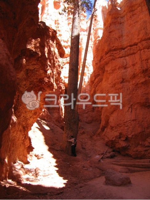 브라이스캐년,brycecanyon,미국,국립공원,자연,nature,트레일,outdoors