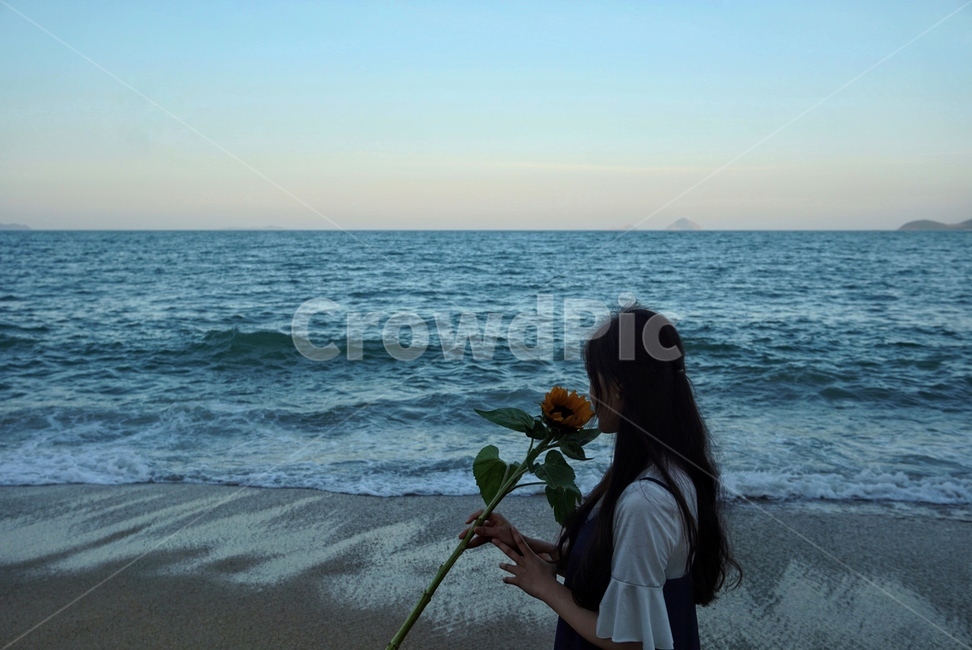 바다,파도,꽃,해바라기,고백,프로포즈,꽃을든,향기,여자,여성,꽃을든여자,여성상반신,상반신,사람,인물,인간,human,person,여성,여자,woman,female,lady