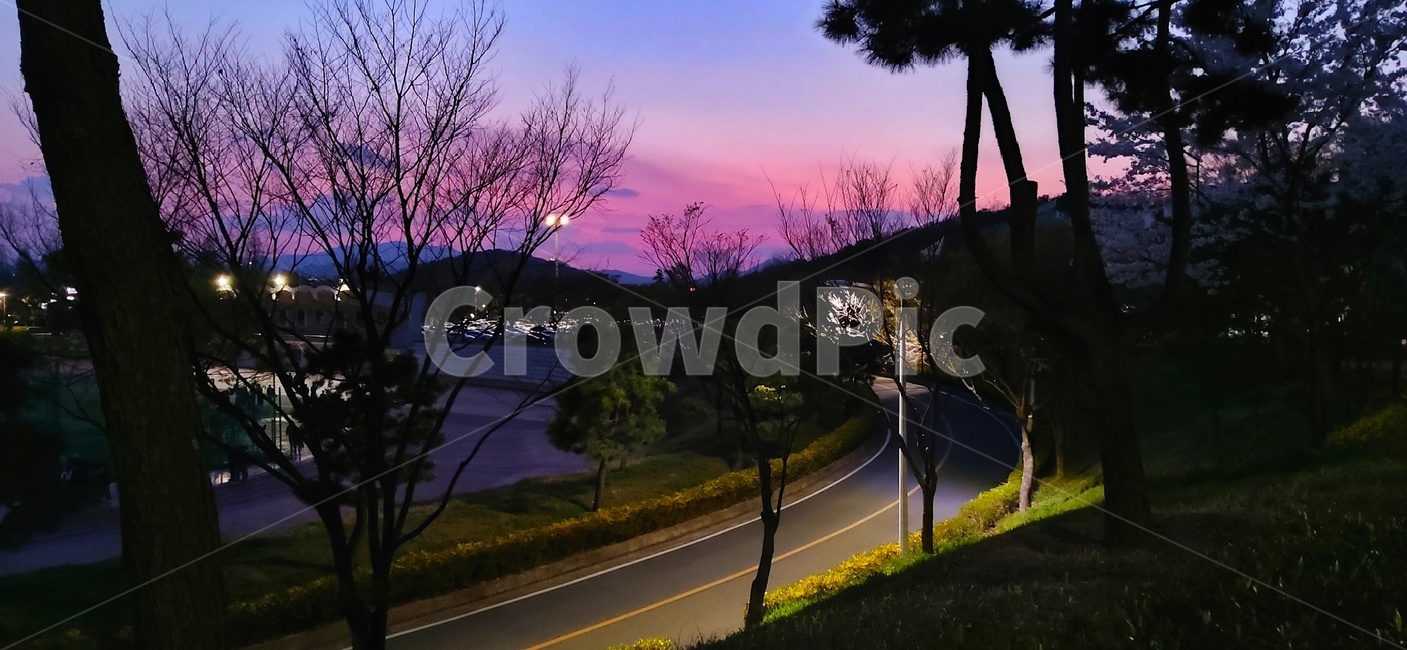 노을,보라색노을,보라색하늘,보라하늘,퇴근길,하굣길,창원대,저녁