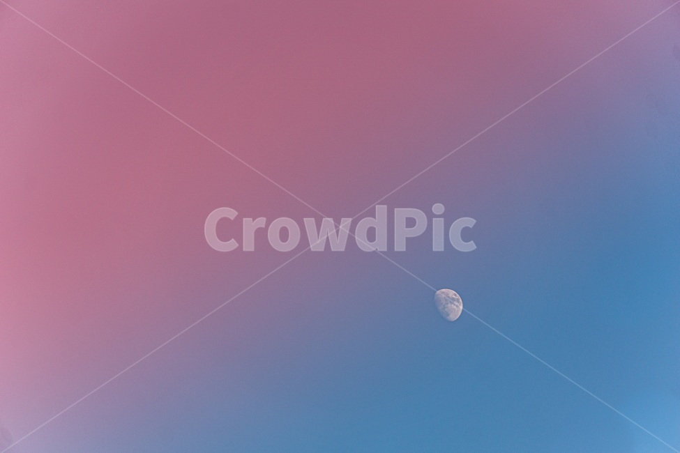 분홍,달,하늘,반달,파랑,감성,예쁜,자연,밖,옥외,야경,밤,풍경,nightscape,night,landscape,색깔,색상,색채,색감,color sense,color sensitivity,feeling of color