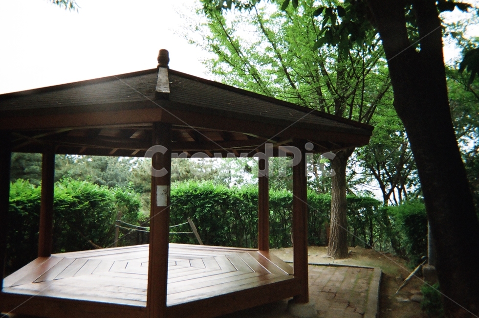 동네,배경,필름,필름카메라,neighborhood,background,film,안마당,patio,현관,porch