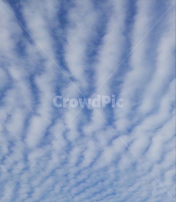 구름,하늘,새파란,새하얀,일직선,자연,풍경,nature,landscape,outdoors,옥외,sky,azure sky,푸른 하늘,cloud
