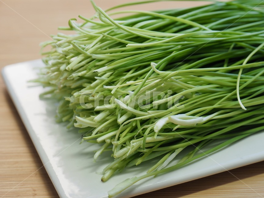 부추,유기농,유기농부추,채소,야채,음식,음식재료,녹색,chives,organic,organicleek,vegetable,food,foodingredients,green,음식,식재료,요리,food,cook,meal,dishes,food reserves,채소,야채,vegetables