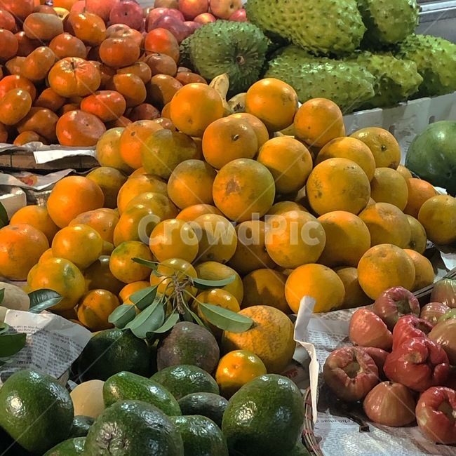 과일,fruit,음식,food,감귤류과일