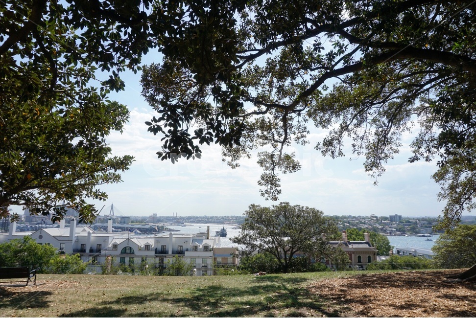 호주,Sydney,자연,nature,australia,풍경,scenery,나무,tree,도시,풍경,city,landscape,해외,외국,세계,foreign,oversea,world,세계도시풍경,해외도시풍경,외국도시풍경,world cityscape