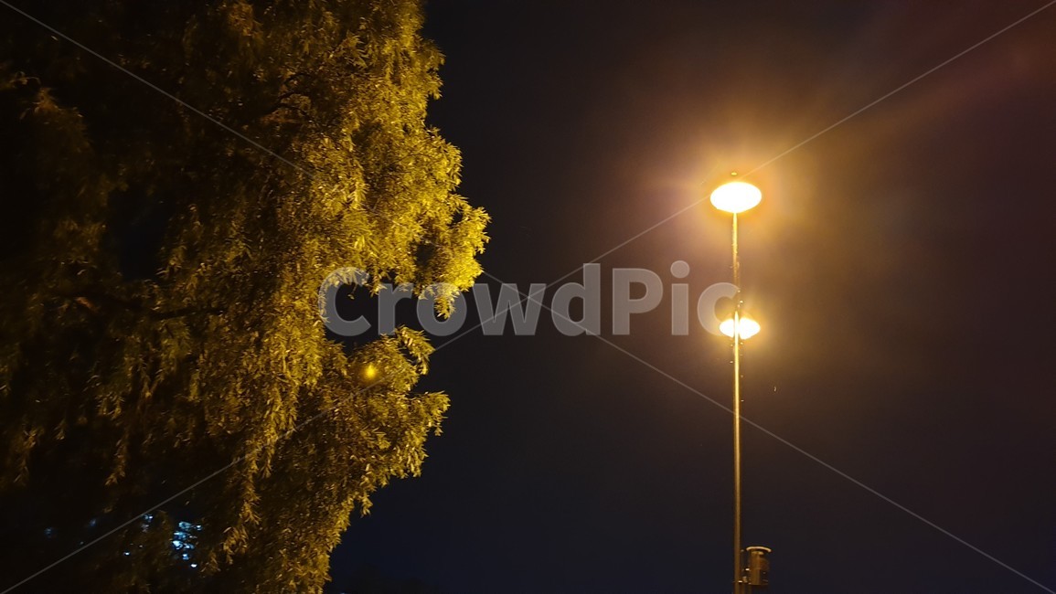 빛,플레어,light,flare,공원,공원풍경,park,가로등,불빛,lamp,streetlamp,streetlight,환한,어슴푸레한,안개낀,나무,tree,분위기,야경,밤,풍경,nightscape,night,landscape