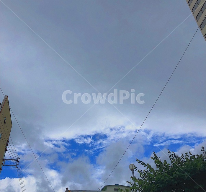 하늘,구름,나무,sky,cloud