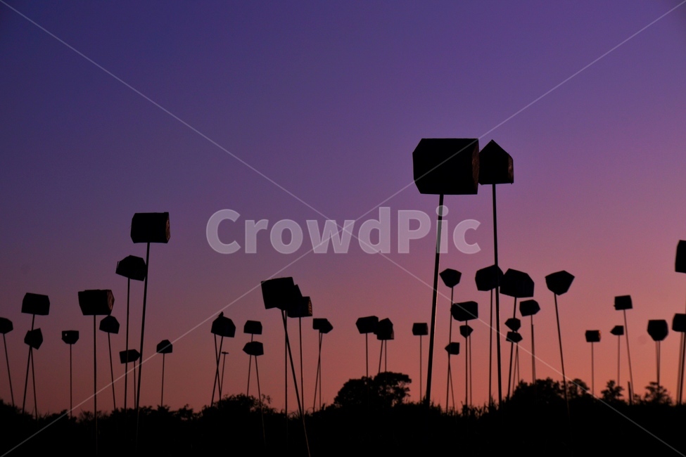 하늘,일몰,goldenhour,magichour,자연,하늘공원,공원,자연,풍경,nature,landscape,실루엣,그림자,silhouette,shadow