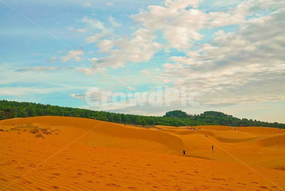 사막,파란하늘,빨간모래,레드샌드,일몰명소,베트남,자연,풍경,nature,landscape,해외,외국,세계,foreign,oversea,world,세계자연풍경,해외자연풍경,외국자연풍경,world nature landscape,soil,흙,outdoors,옥외,sand,모래,dune,모래 언덕,desert