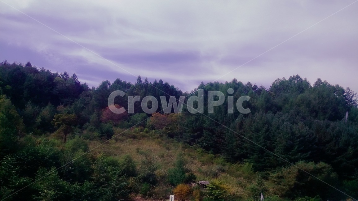 풍경,계절,가을,fall,산,나무