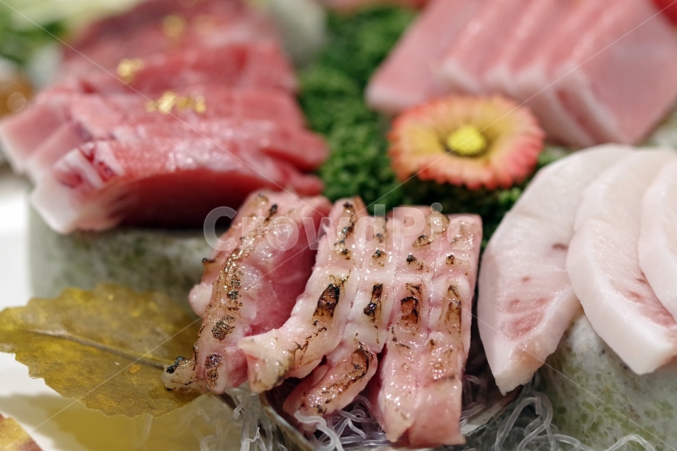 음식,겨울,참치,회,일식,foods,winter,tuna,rawfish,sasimi,japanesefood,음식,식재료,요리,food,cook,meal,dishes,food reserves,수산물,해산물,fishery products,seafood,일식,일본음식,일본요리,Japanese food,Japanese dishes,Japanese meal,Japanese cook