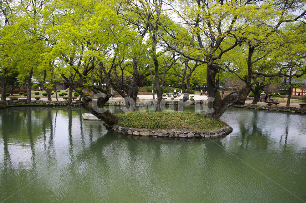 연못,반영,나무,식물,plant,봄,spring,초록,자연,풍경,nature,landscape,사람들,대중,군중,other people,crowd,tree,tree trunk,나무 줄기