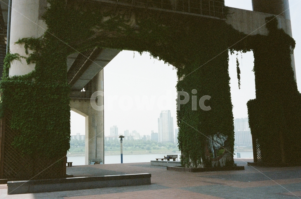 한강,봄,기둥,구조물,뚝섬,담쟁이,hanriver,풍경,필름,아날로그,film,filmphotography,analog