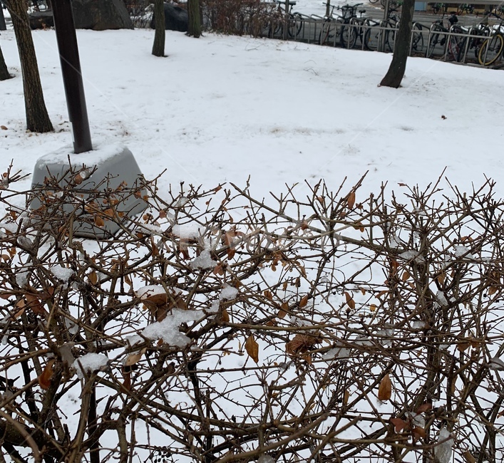 겨울,눈,감성,분위기,느낌,얼음,winter