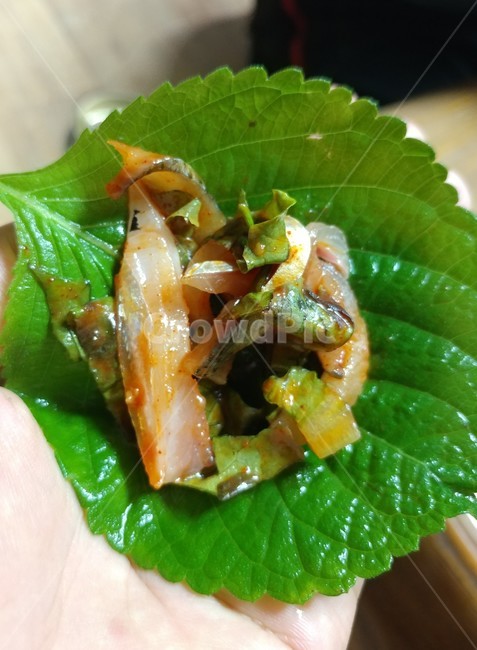 회무침,회,쌈,깻잎,깻잎쌈