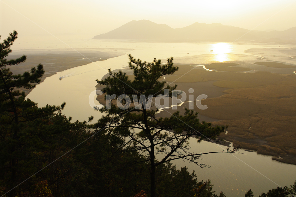 순천만,일몰,석양,노을,풍경,갈대밭,자연,풍경,nature,landscape,한국자연풍경,한국자연경관,korea nature landscape,soil,흙,outdoors,옥외