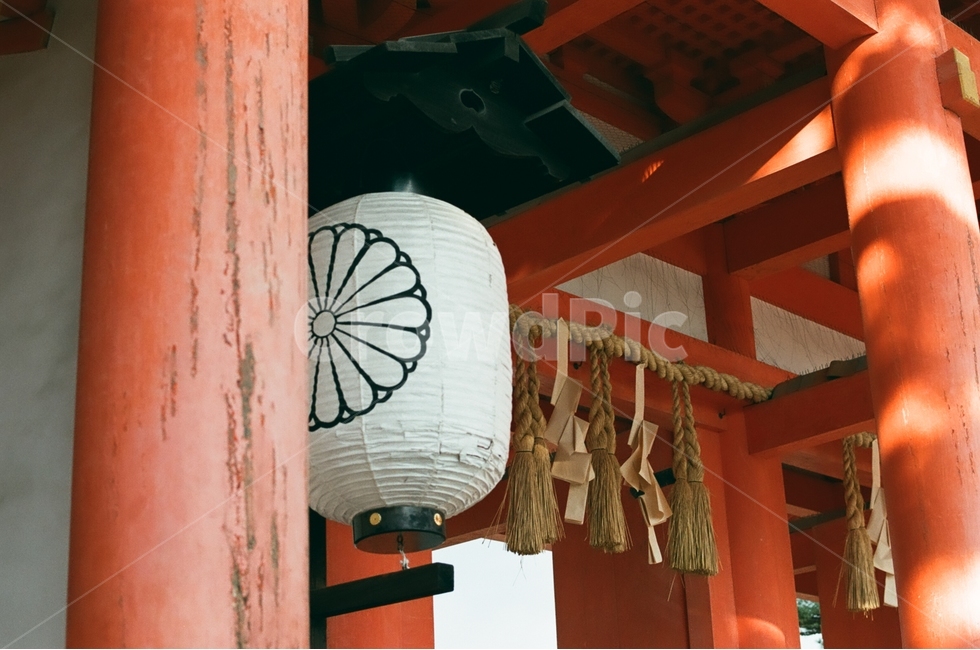 일본,신사,필름사진,주황색,기둥,해외,외국,세계,foreign,oversea,world,종교,신앙,religion,belief,faith,감성,sensible,feeling