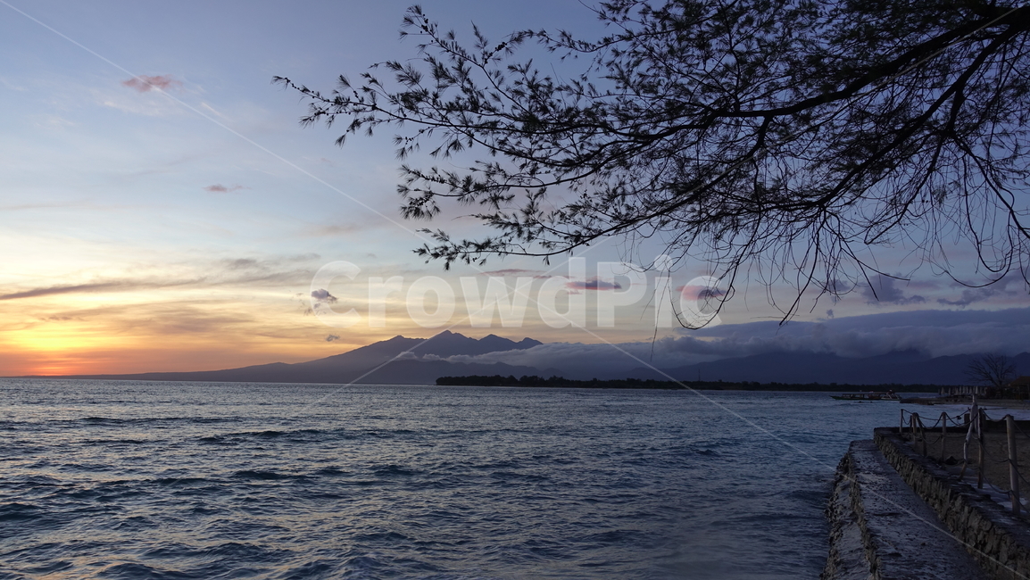 자연,nature,하늘,노을,sunrise,sky,새벽,dawn,orange,yellow,blue,오렌지,tree,나무,태평양