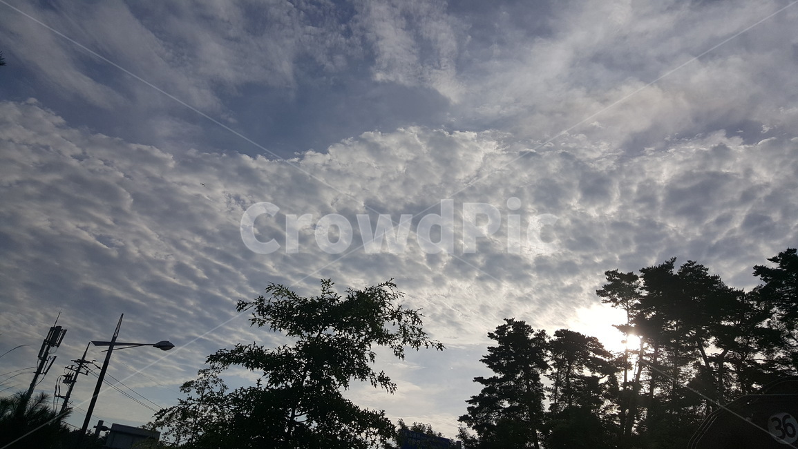하늘,배경화면,나무,구름,경치,자연,풍경,nature,landscape,weather,날씨,outdoors,옥외,cloud,sky,cumulus,적운