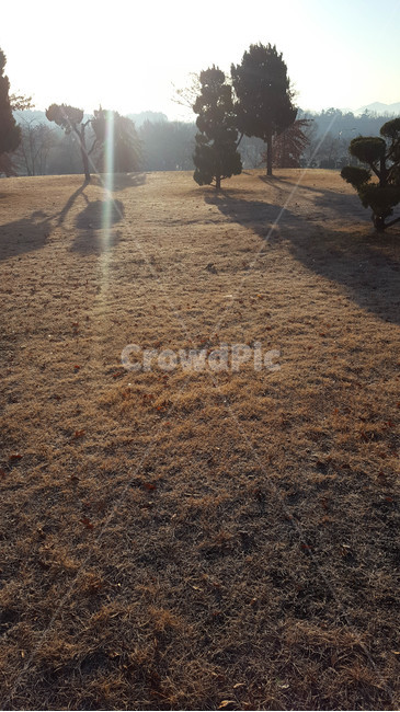 겨울,잔디,화단,나무,햇빛,자연,풍경,nature,landscape,ground,바닥,road,도로,gravel,자갈,dirt road,흙길,light,빛,flare,플레어