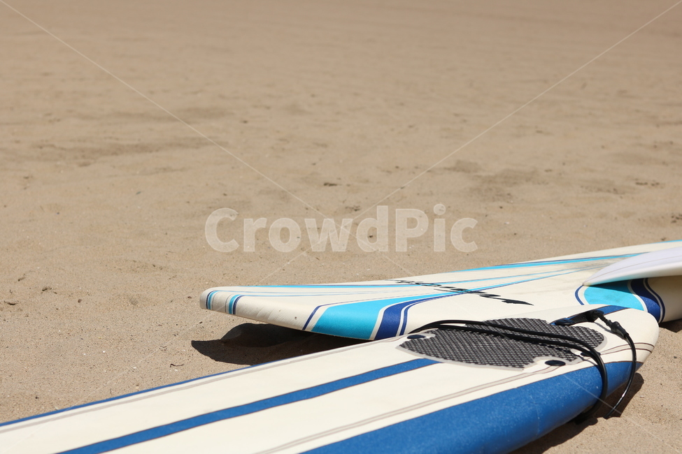 서핑,서핑보드,여름,취미,취미생활,바다,해변,surf,surfing,여름,계절,summer,season,여행,휴가,traveling,vacation,trip,스포츠,레저,운동,sports,leisure,exercise,sea,ocean,대양,nature,자연,outdoors,옥외,water,물