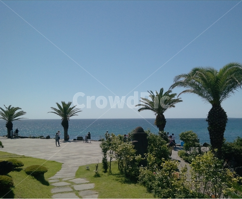 바다,제주도,휴양지,휴가,여행,자연,풍경,nature,landscape,한국자연풍경,한국자연경관,korea nature landscape,제주도,jeju,jeju island,person,사람,human,인간,outdoors,옥외,garden,정원,arbour,정자,summer,여름