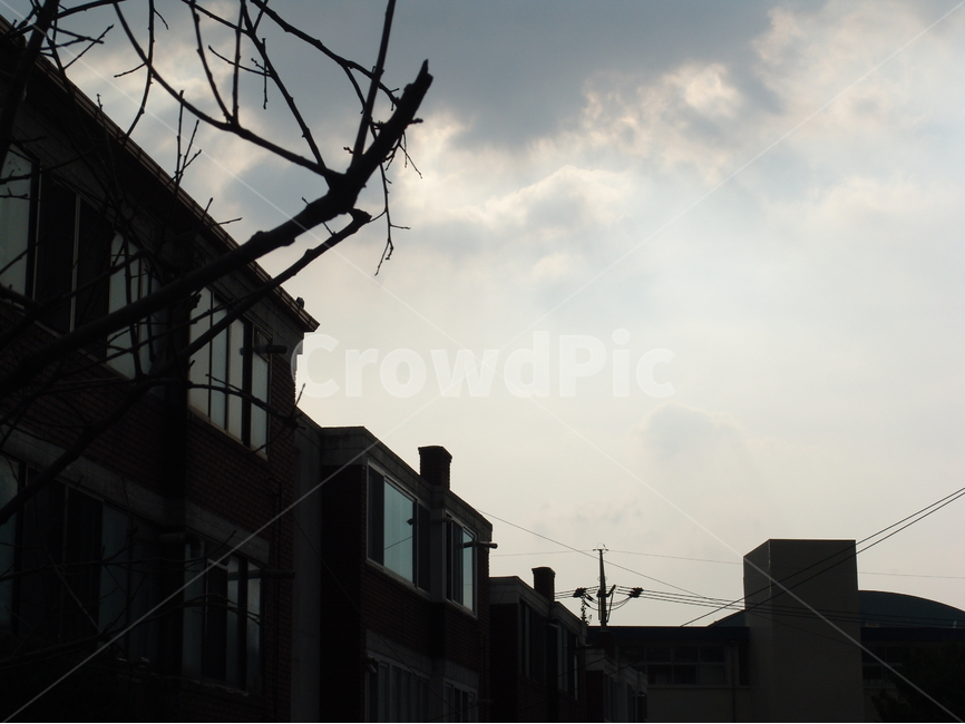 집,주거,주거공간,house,저녁,동네,감성,건축물,건축물,건물외관,exterior,building,structure,architecture,construction