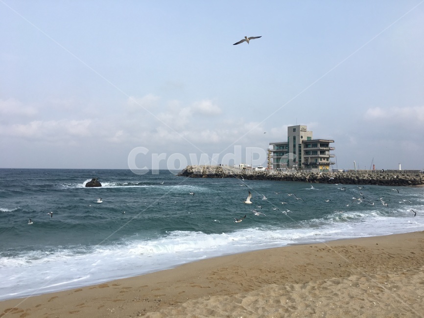 바다,해변,모래사장,파도,감성,ocean,여름,계절,summer,season,beach,sea,대양,nature,자연,outdoors,옥외,water,물