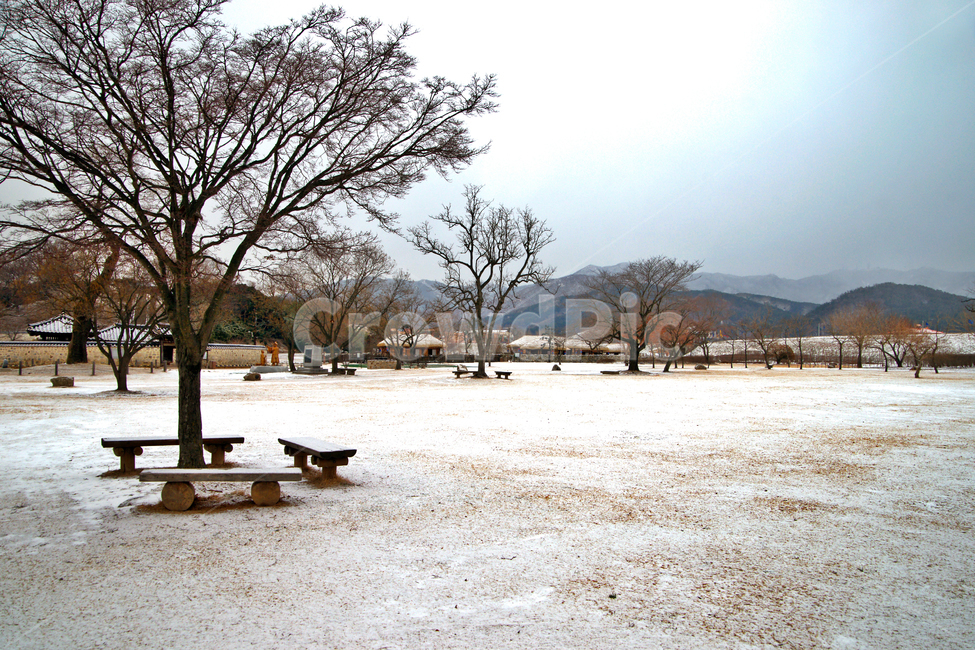 해미읍성,천주교,병인박해,충청도병마절도사영,평산성,서산,겨울,계절,winter,season,자연,풍경,nature,landscape,한국자연풍경,한국자연경관,korea nature landscape,furniture,가구,bench,벤치,ground,바닥,tree,나무,plant,식물