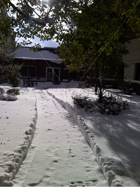 눈,눈밭,설경,눈온날,흰색,하얀색,풍경,겨울,계절,winter,season