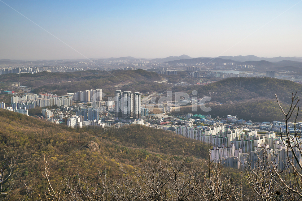 모락산,의왕시,도심풍경,경기도,도시,아파트,건물