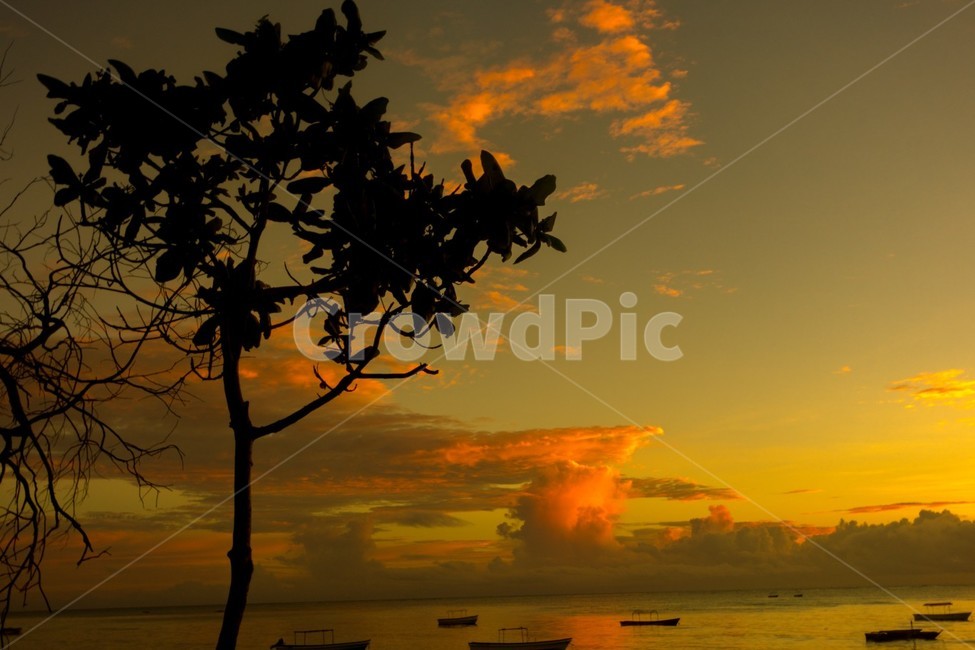 nature,자연,옥외,dusk,황혼,sunset,일몰,dawn,하늘,sky,붉은하늘,햇빛,redsky,sunlight
