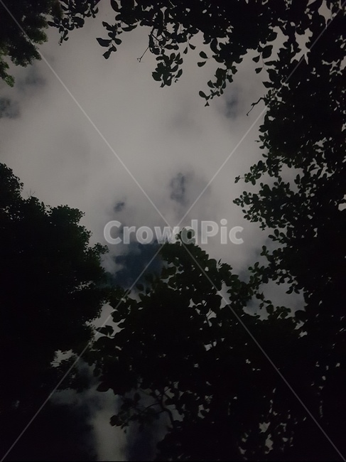 공원,하늘,저녁,구름,나무,자연,풍경,nature,landscape,weather,날씨,outdoors,옥외