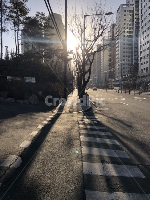 출근,출근길,아침,햇살,햇빛,도시,풍경,city,landscape,한국도시풍경,한국도시경관,korea cityscape,asphalt,아스팔트,road,도로