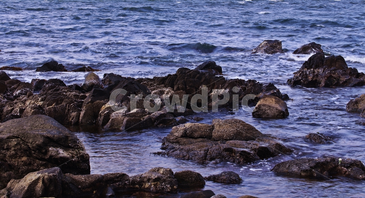 바다,물,파도,포항,포항바다,포항앞바다,sea,pohang,자연,자연,풍경,nature,landscape