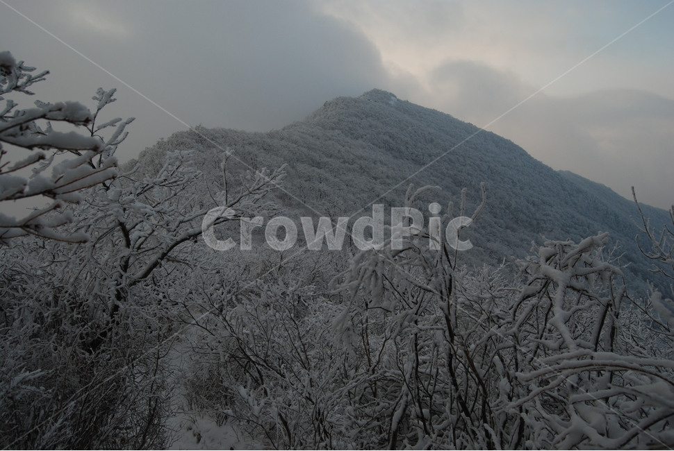 겨울,산,눈,공원,탐방로,겨울,계절,winter,season,자연,풍경,nature,landscape,한국자연풍경,한국자연경관,korea nature landscape,outdoors,옥외,ice,빙