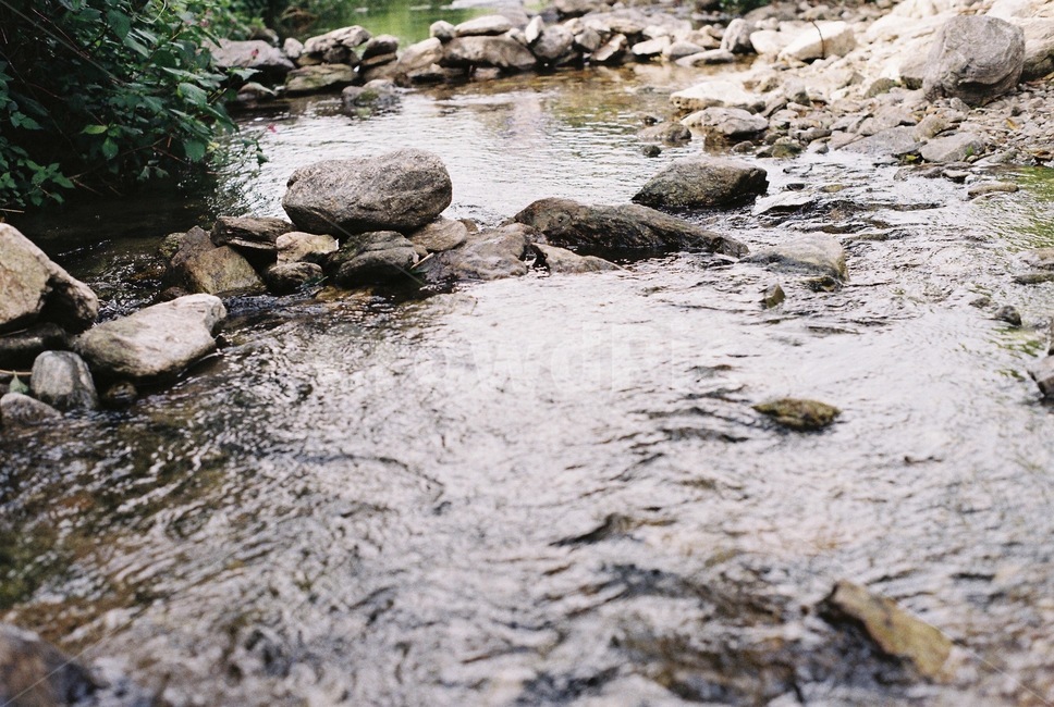 water,물,nature,자연,outdoors,작은만,creek,흐름,옥외