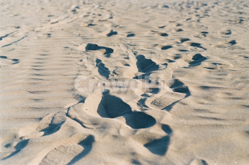 발자국,모래,바다,footprint,step,land,beach,해변,바다,beach,sea