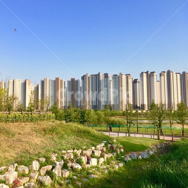 grass,잔디,plant,식물,아파트,자연,풍경,하늘,공원,도시,풍경,city,landscape,한국도시풍경,한국도시경관,korea cityscape