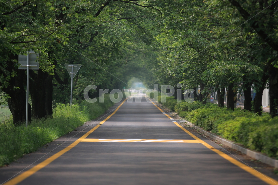 길,도로,way,road,풍경,ladnscape,자연,풍경,nature,landscape,교통,교통수단,traffic,transportation,asphalt,아스팔트,highway,고속도로,freeway,고속 도로