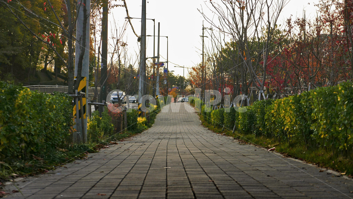 길,도로,인도,walkway,way