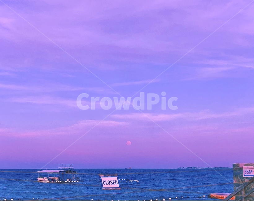 달,moon,감성사진,보랏빛하늘,선셋