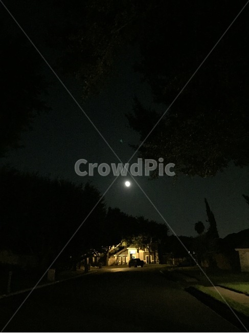 텍사스,texas,야경,밤,night,nightview,달,moon,시골,country,outdoors,옥외,건물