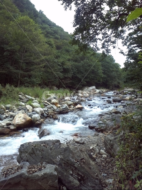 계곡,여름,summer,water,stream,개울,물,나무,nature,자연,바위,돌멩이,stone,자연,풍경,nature,landscape,outdoors,옥외,흐름,creek,작은 만