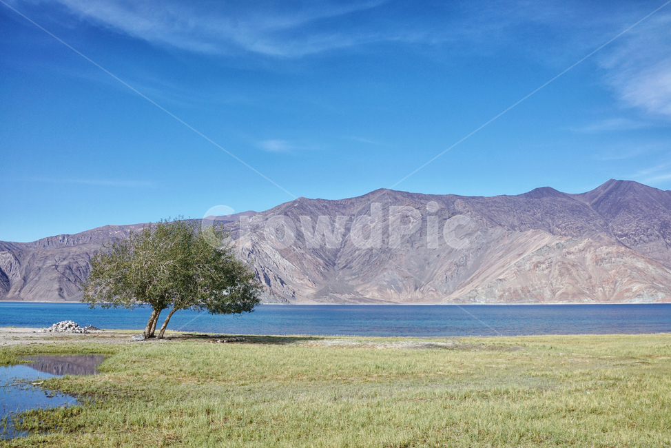 water,nature,자연,outdoors,옥외,lake,호수,판공초,india,인도,leh,레,라다크,ladakh,캠핑,camping,바탕화면,배경화면,pangonglake,pangongtso,파란하늘,자연,풍경,nature,landscape