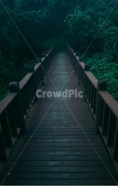 다리,산,숲,공포,밤,night,horror,bridge
