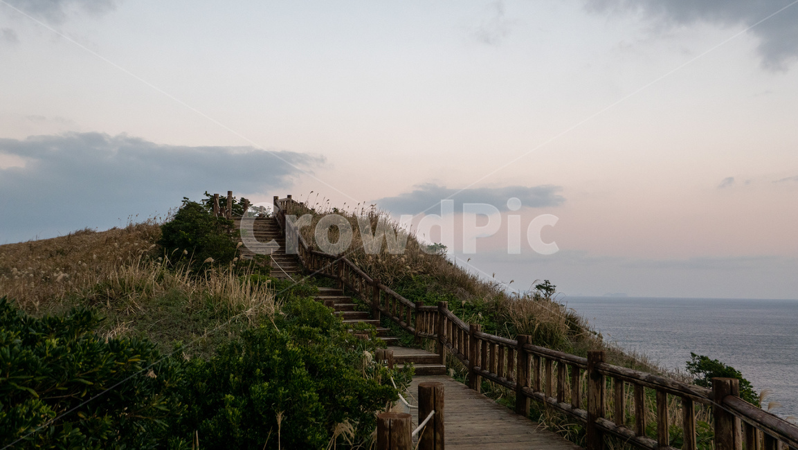 송악산,제주,제주도,jeju,송악산둘레길,풍경,자연,landscape,nature,twilight,해질녘,자연,풍경,nature,landscape,한국자연풍경,한국자연경관,korea nature landscape,제주도,jeju,jeju island